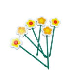 Snack picks Sunny blooms